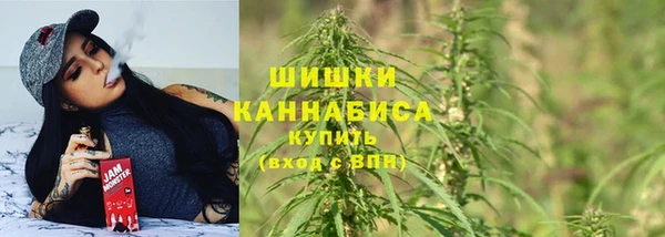 дживик Вяземский