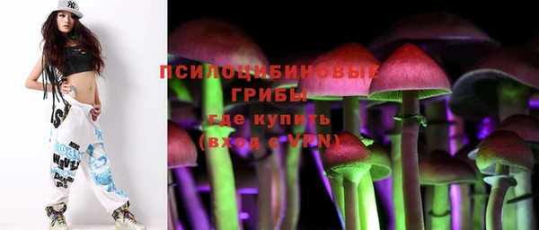 гидропоника Вязьма