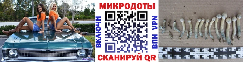 Галлюциногенные грибы GOLDEN TEACHER  Купить закладки  Урай 